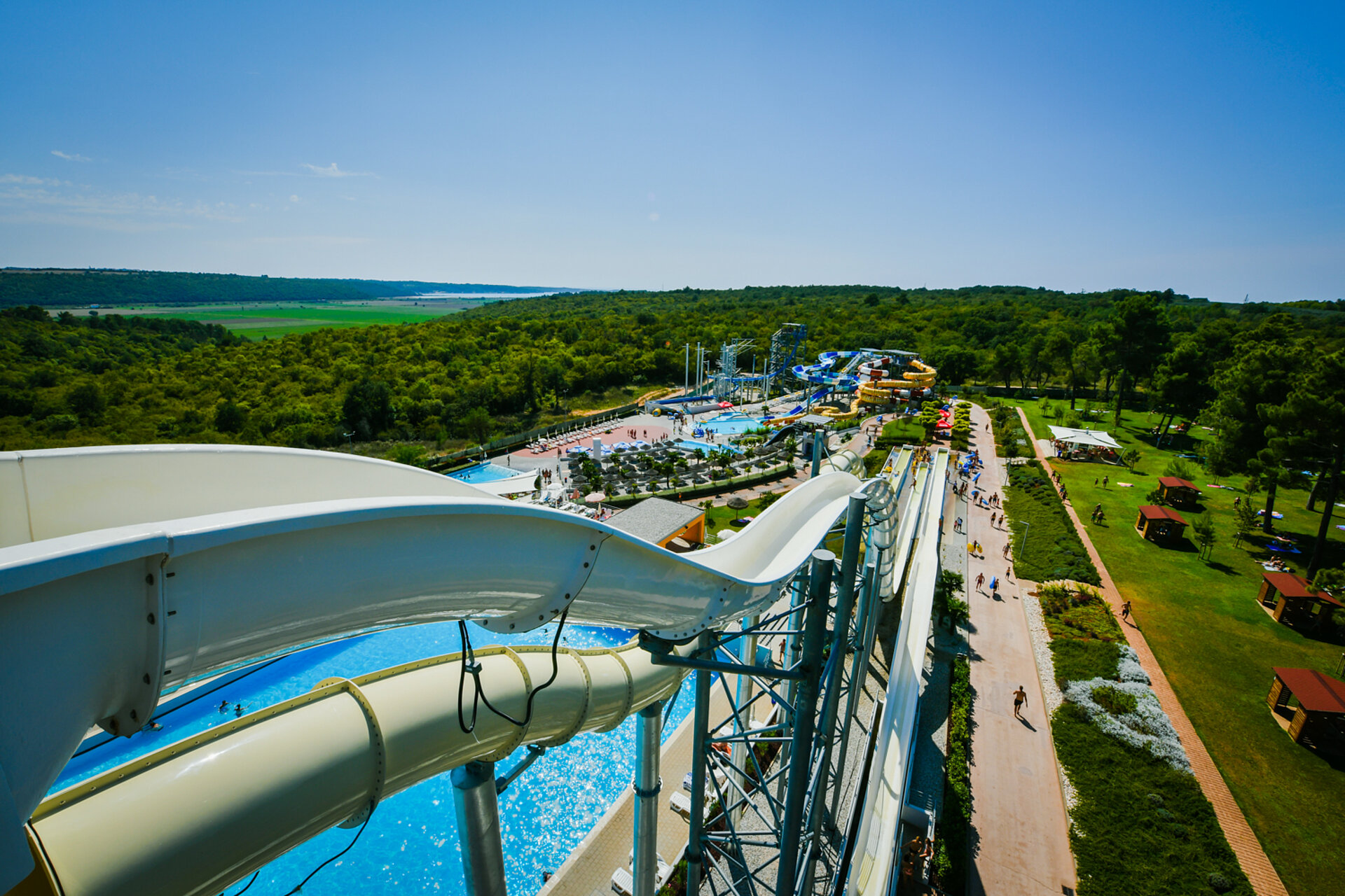 Free Fall
